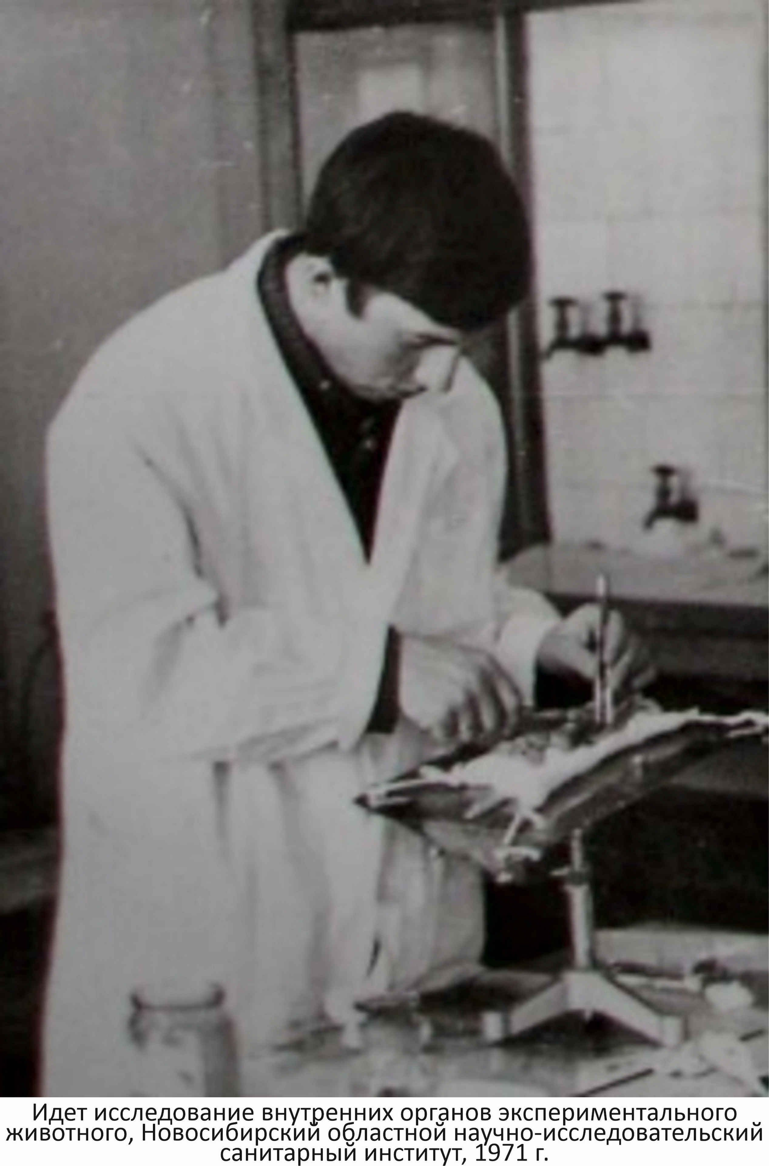 Фото на сайте