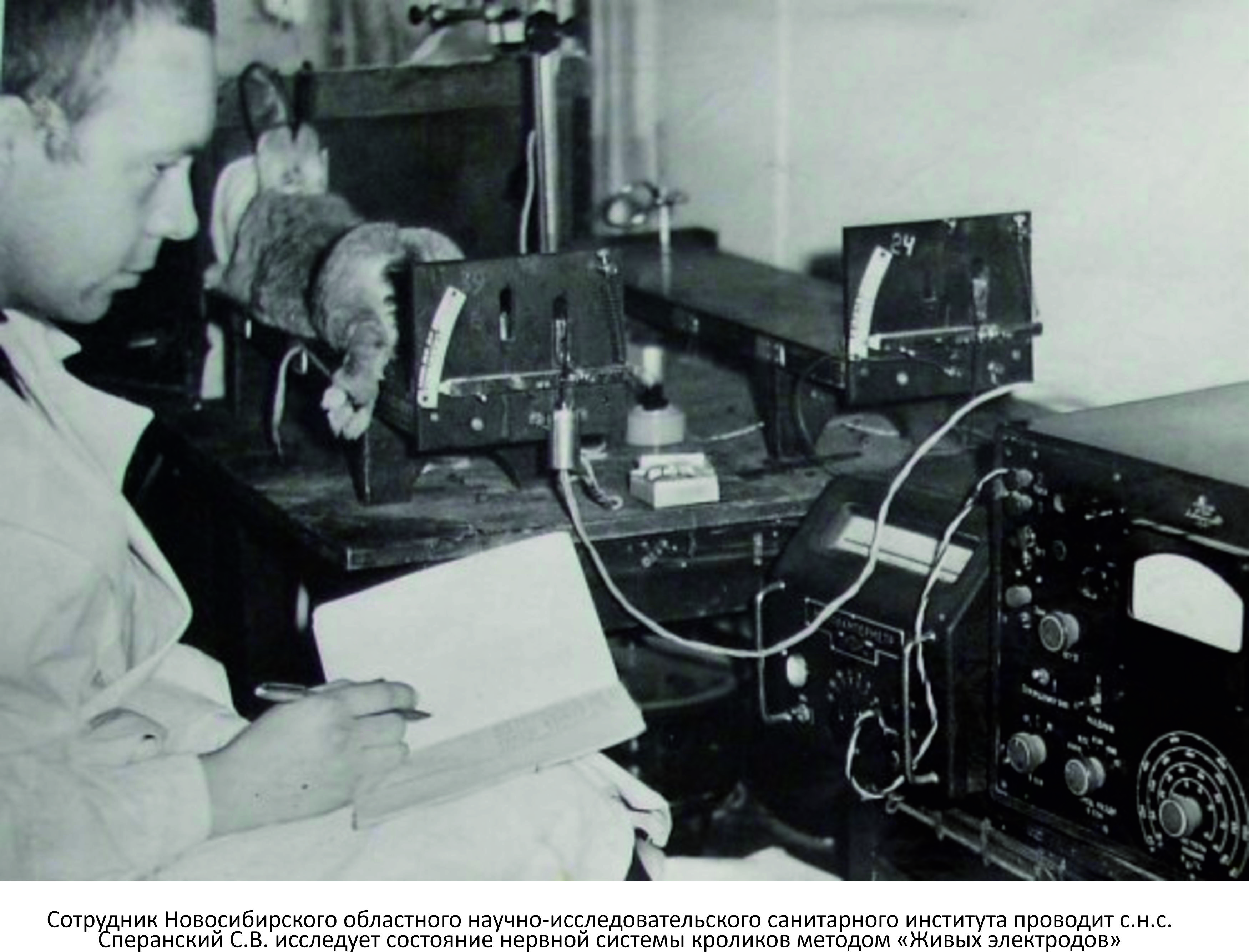 Фото на сайте